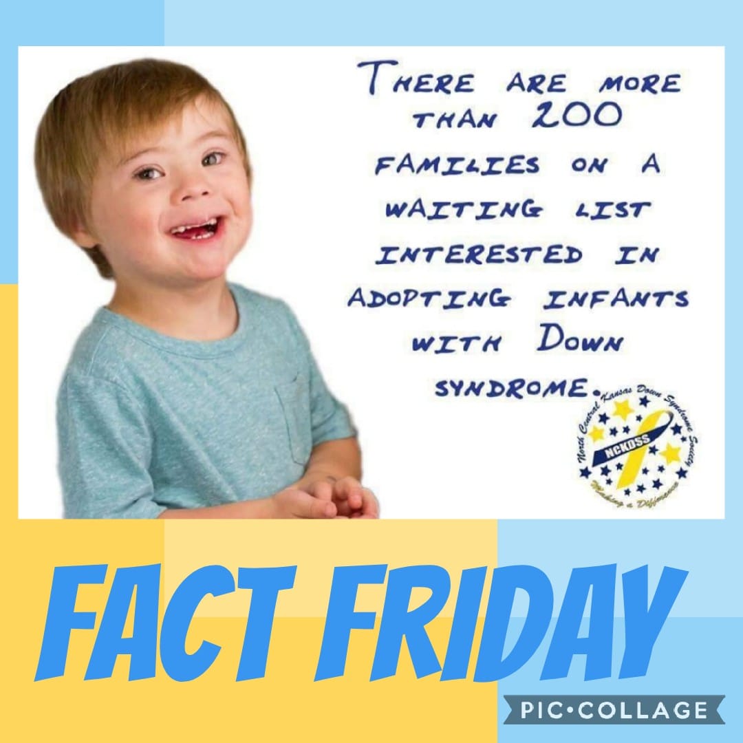 2026 Fact 03