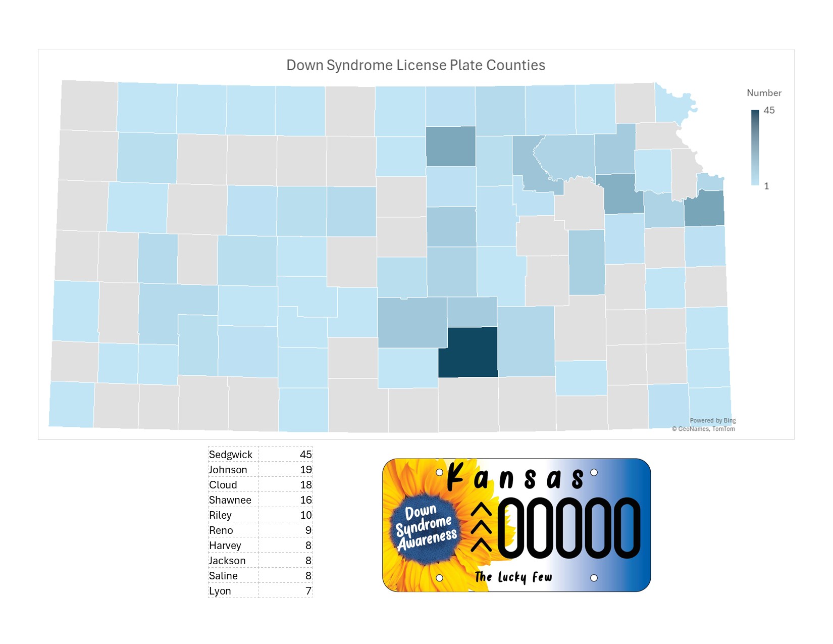 Map showing Kansas counties where the Down Syndrome Awareness plate is currently active